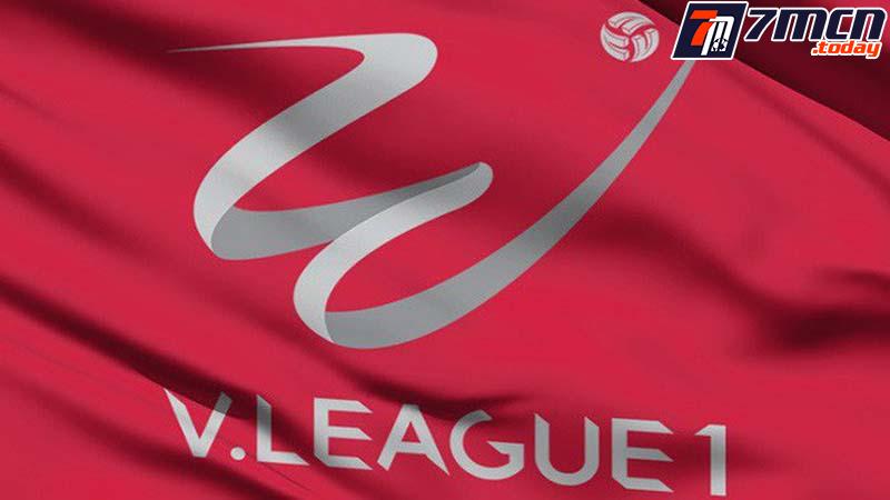 Lịch sử hình thành của giải đấu V-League